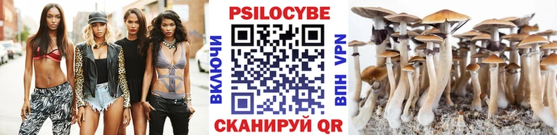 hydra ссылки  Дорогобуж  Псилоцибиновые грибы ЛСД 